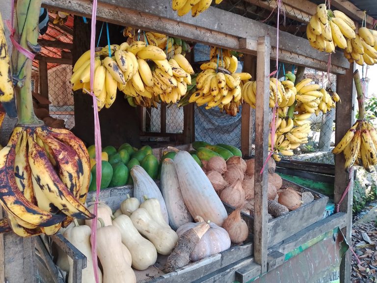 Kios Buah Nurbaing di Kawasan Wisata Cikakak Sukabumi, UMKM Tumbuh Lewat Pemberdayaan Petani